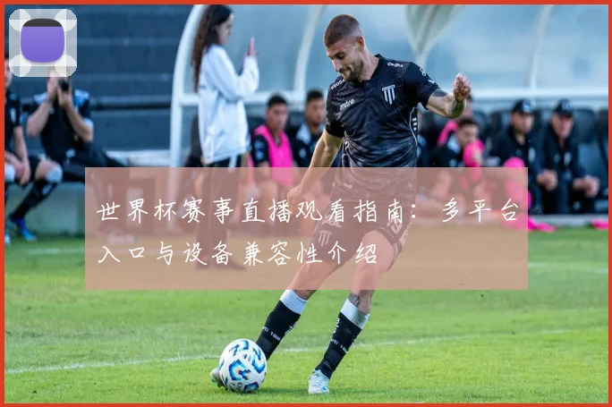 世界杯赛事直播观看指南：多平台入口与设备兼容性介绍