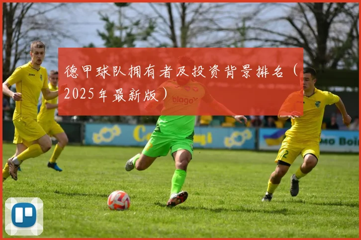 德甲球队拥有者及投资背景排名（2025年最新版）