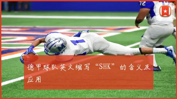 德甲球队英文缩写“SHK”的含义及应用