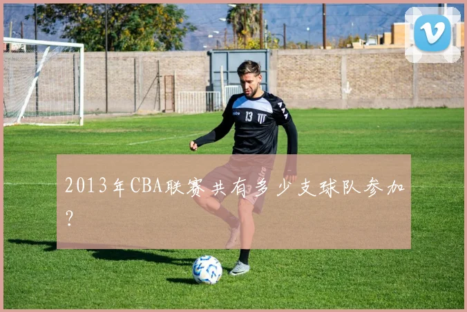 2013年CBA联赛共有多少支球队参加？