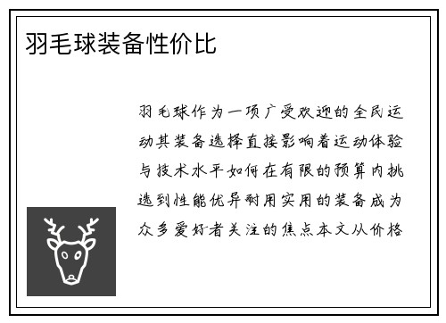 羽毛球装备性价比
